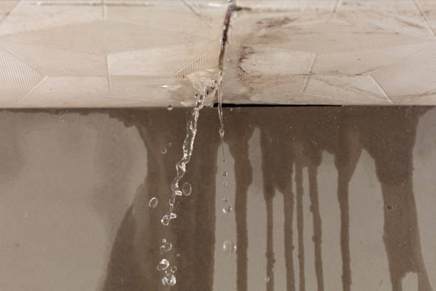 Professional Burst Pipe Cleanup technician working in Llano, CA